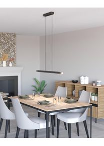 Illuminazione Eglo LISCIANA Lampadario a sospensione LED Grigio