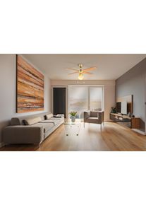 Eglo lights & Ceiling fan light bronzed