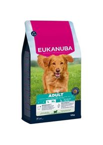 eukanuba croquettes pour chien, adulte, grande taille, Agneau 12 kg
