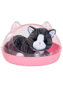 Baby Born , Kuscheltier »Meine Katze Cookie mit Box« , grau