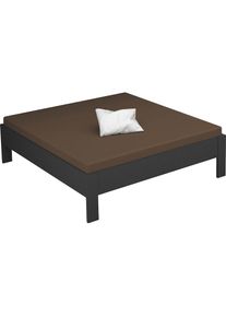 Rauch , Futonbett »Aditio« ohne Kopfteil , graumetallic