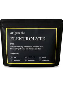 artgerecht Elektrolyte Pur, 279 g Beutel