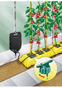 Garland Système d'arrosage Big Drippa 6 plantes