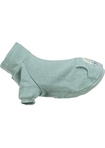 Trixie Pullover Littleton XS, 30 cm, Mint (XS, Hundepullover), Hundebekleidung