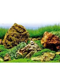 Croci Spa Vision double-sided aquarium background 100x45cm (Dekoration, sonstige Gegenstände), Aquarium Dekoration