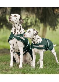 Waldhausen Hunde Regenmantel, tannengrün, 65cm