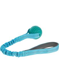 KERBL Pet Bungee Ball Hundespielzeug, blau