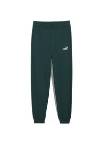Puma, Jungen, Sporthose, ESS No. 1 Logo Sweatpants TR B (152), Grau