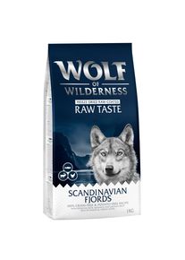 1kg Scandinavian Fjords Wolf of Wilderness secco per cani