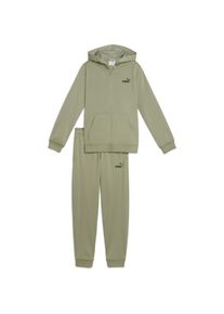 Puma, Jungen, Laufjacke, Hooded Full-Zip Poly Suit B (176), Grün, 176