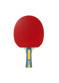 Raketa na stolný tenis Joola Team Master
