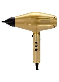 BaByliss Pro, Föhn, GoldFX FXBDG1E (2200 W)