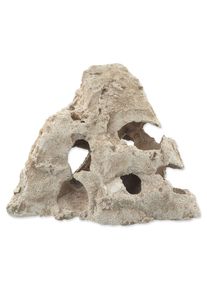 Aqua Excellent koral S 14 x 15 x 8 cm