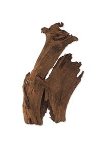 Dekorácia Repti Planet Koreň DriftWood Bulk M 29-36cm