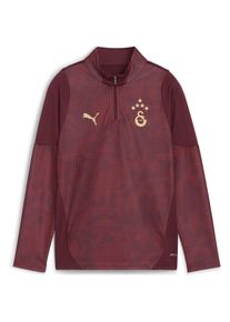 Puma, Jungen, Pullover, GSK Training 1/4 Zip Top Jr, Rot, (140)