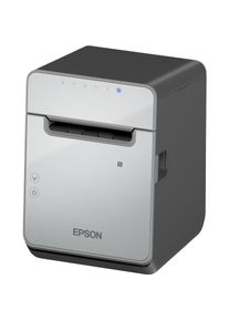 Epson TM-L100 (121) USB (Ethernet, USB 2.0), Belegdrucker, Schwarz