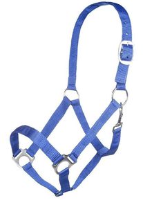 HKM Brisbane Halfter, royalblau, Vollblut