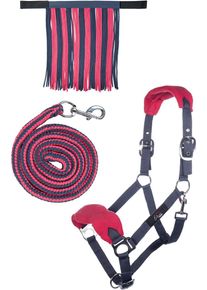 HKM Halfter Set mit Karabiner & Fliegenfransen, grau/pink, Warmblut