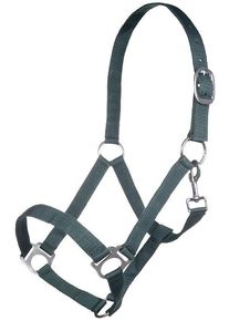 HKM Brisbane Halfter, dunkelgrün, Warmblut