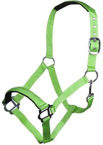 HKM Sydney Style Halfter, weich unterlegt, Neon grün, Kaltblut