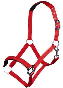 HKM Sydney Style Halfter, weich unterlegt, rot, Vollblut