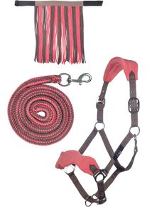 HKM Halfter Set mit Karabiner & Fliegenfransen, mokka/milky pink, Vollblut