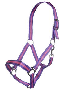 HKM Budapest Halfter, lila/lavendel, Warmblut