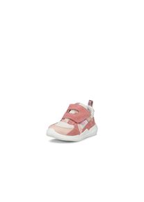 Ecco , Kinder , Lauflernschuh »Biom« , Babyschuh, Klettschuh, Halbschuh, Sneaker mit Klettverschluss , weiß-rosa , 19 , 19 , Bequeme Halbschuhe für...