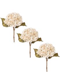 Creativ green Kunstbloem Hortensia kunstbloemen beige