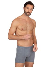 TRIGEMA Boxershort TRIGEMA Herenbroek in comfortabele stretchkwaliteit (1 stuk) heren lange onderbroeken maat L grijs