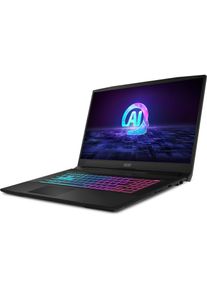 MSI Katana A17 AI B8VF-881NL (17.30", 1000 GB, 16 GB, DE, AMD Ryzen 7 8845HS), Notebook, Schwarz
