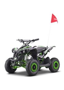 Renegade Race-X Kids Electric Mini Quad Bike