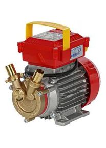 Rover 20 Bypass - Elektrische Umf&uuml;llpumpe aus Bronze - 230V
