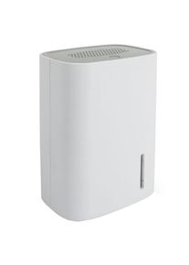 Déshumidificateur Mini 250 ml/24h