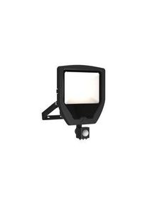 Ansell Lighting Ansell Lighting ACAE, Security Floodlight, 1 LED, 50 W, 5400 lm, IP65 PIR - ACAE50/1/CW/B/PIR