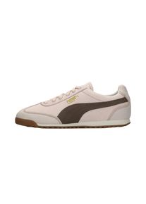 Puma R&ouml;vid sz&aacute;r&uacute; sportcipők 'Arizona Wine Club' Női barna / r&oacute;zsa / pasztell-r&oacute;zsasz&iacute;n , M&eacute;ret 8,5