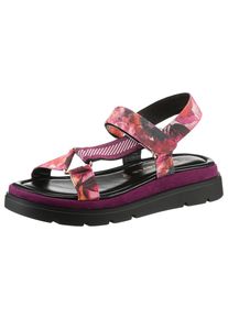 Tamaris , Riemchensandale , Plateau, Sommerschuh, Sandalette mit Touch It-Ausstattung , multi , 40 , 40 , Sommerliche Sandale im Trekking-Look