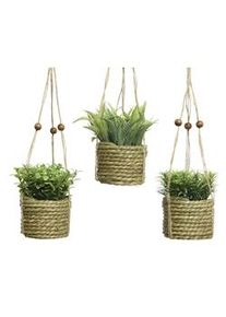 KSD Planta Artificial Colgada Modelos Varios Ø8X12Cm