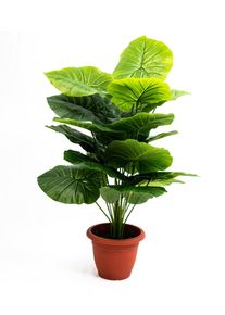 Pianta finta da interno esterno Filodendro