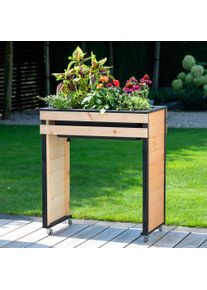 Dobar Hochbeet »"Wheely" auf Rollen Gr. M« Das Hochbeet ist ca. 77 x 47 x 88 cm (L x B x H) groß, Größe B/H/T: 77 cm x 88 cm x 47 cm