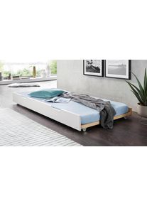 Lüttenhütt Lüttenhütt Lade "TIPO" als 2e slaapgelegenheid, inclusief rolbodem toebehoren voor kinderbedden wit