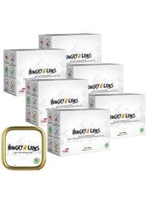 Hungry Lions - Hochwertiges BIO Katzenfutter