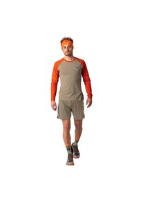Dynafit Alpine Pro Shirt Herr