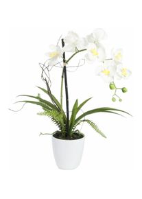 EUROPALMS, Kunstpflanzen, WD-40 400 ml weisser Lithiumgeschmack (62 cm)