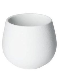Loveramics Brewers – 150 ml Nutty Tasting Cup – Carrara, Tasse, Weiss