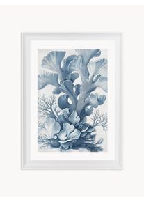 Ars Longa Nástenná dekorácia v ráme Nerida Biela, Modrá, Béžová Š 49 x V 59 cm