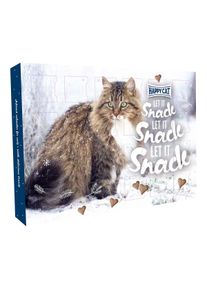 Happy Cat Adventskalender 2025
