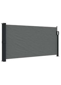vidaXL Toldo lateral retráctil antracita 100x300 cm