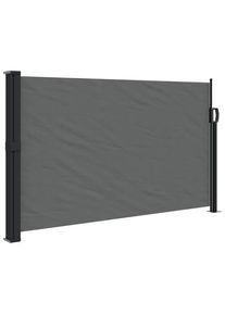 vidaXL Toldo lateral retráctil gris antracita 120x500 cm