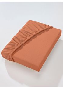 Dormisette Spannbettlaken in braun, Größe 20